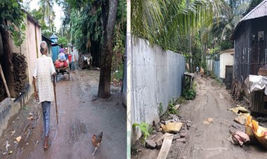 ১৬ লাখ টাকার রাস্তায় মানুষ যায় না  অতি প্রয়োজনের রাস্তায়  নেই বরাদ্দ - মুকসুদপুর পৌরসভা