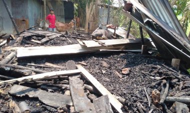 উজানীতে ৪ গরু পুড়িয়ে হত্যা ৪ লাখ টাকার ক্ষতি