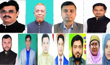 উপজেলা পরিষদ নির্বাচনে ৩ পদে ১২ প্রার্থী
