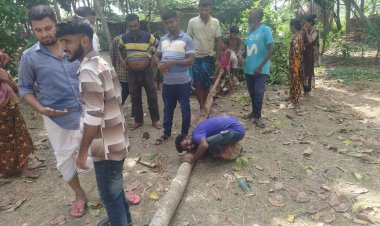 কথা বলার বিষয়টি ভুয়া - রাঘদীতে আলোচিত গাছ কেটেছে প্রশাসন